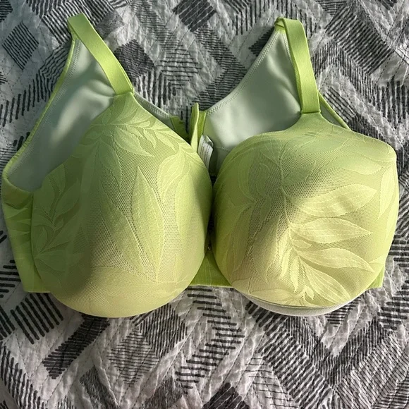 Cacique Light Green Leaf Pattern Bra - Picture 1 of 6